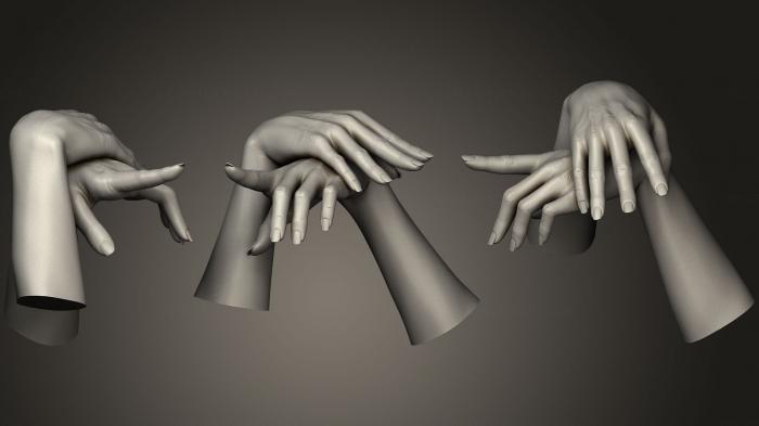 نموذج ثلاثي الأبعاد لآلة CNC تشريح الهياكل العظمية والجماجم الأيدي النسائية 5